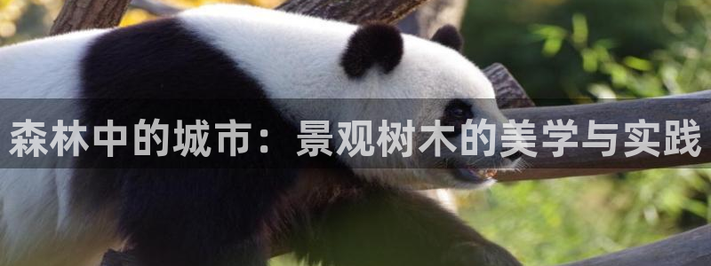 摩根娱乐宝怎么下载