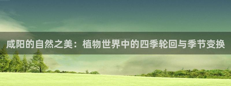 摩根娱乐包是什么