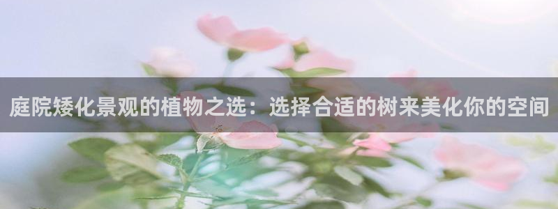 义乌摩根娱乐有限公司