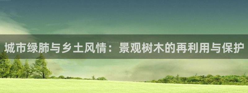 摩根娱乐1老H板50820