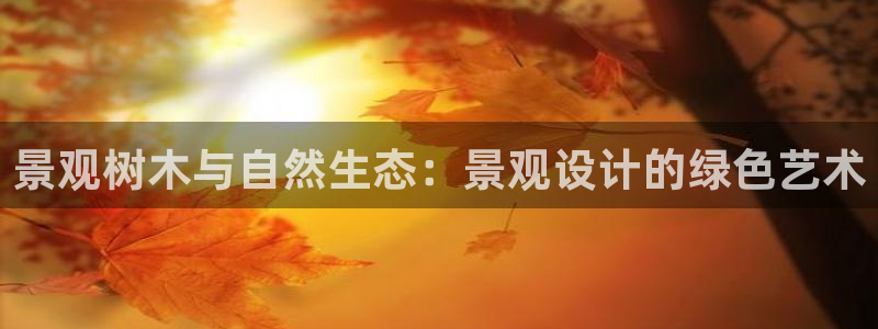 摩根国际娱乐宝官网下载