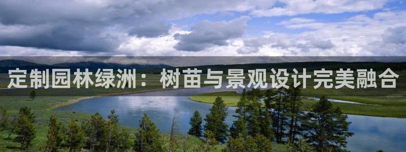 摩根娱乐平台