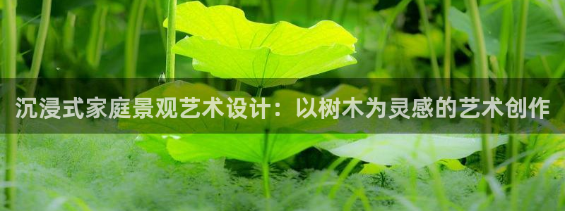 摩根国际娱乐宝