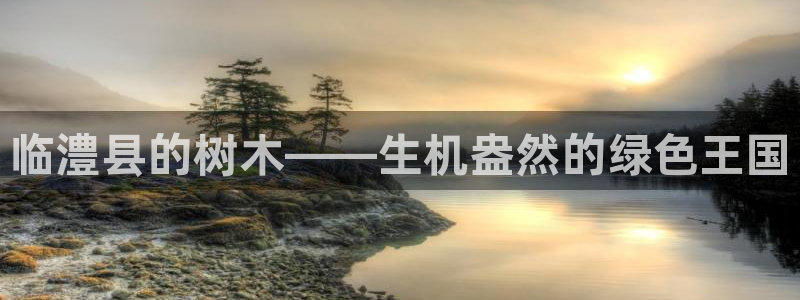 义乌摩根娱乐会所价格