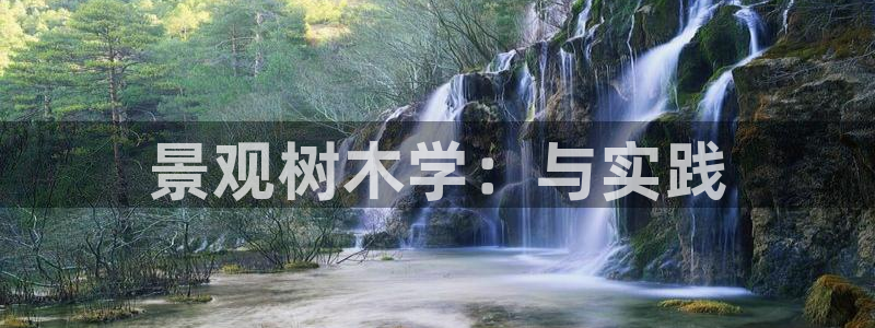 摩根娱乐公会创始人