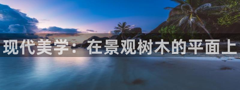 摩根娱乐公会创始人