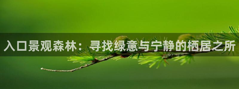 摩根娱乐宝是什么意思