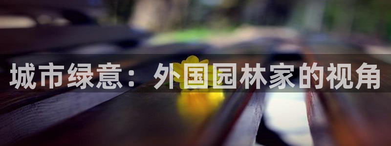 摩根国际娱乐宝书籍