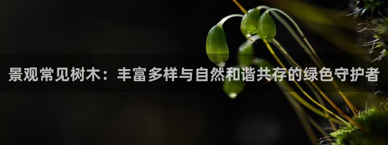 摩根娱乐开户总s管50015 15