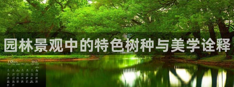 义乌摩根娱乐