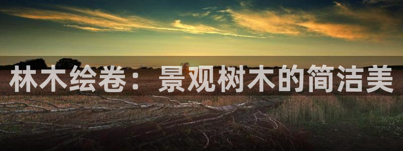 摩根娱乐 总s管50015