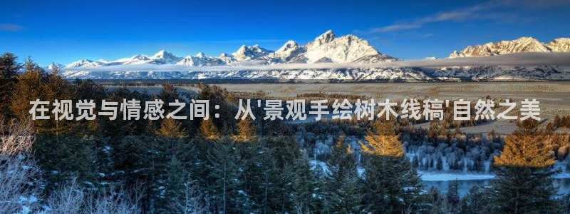 摩根娱乐挂机项目怎么样