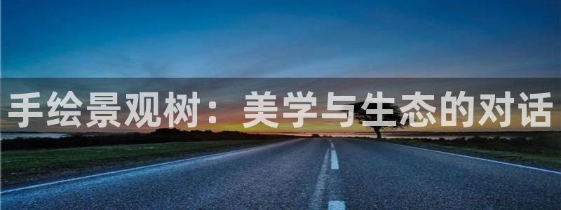 厦门摩根会娱乐