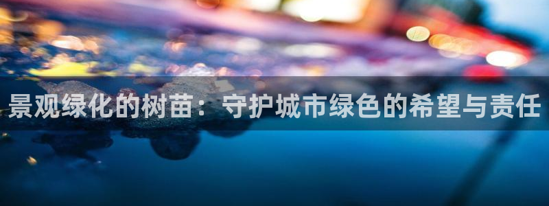 摩根中央公园娱乐