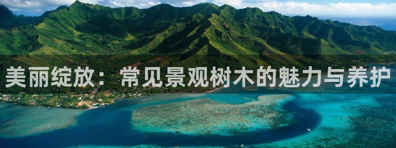 摩根娱乐 1老j板50820