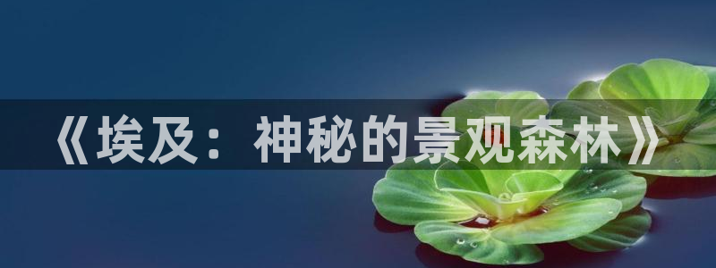 摩根娱乐↑总s管50015