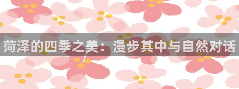 摩根娱乐宝怎么盈利