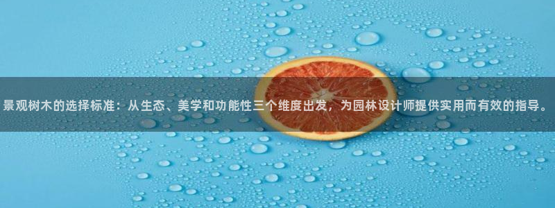 摩根合约娱乐宝