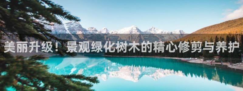 摩根娱乐平台黑