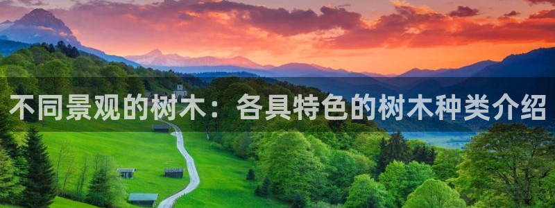 摩根娱乐宝平台下载