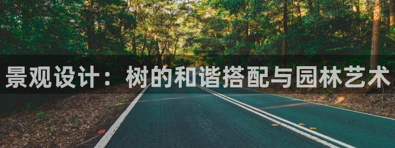 猫眼娱乐摩根士丹利：景观设计：树的和谐搭配与园林艺术