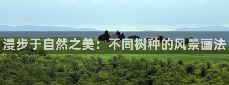 摩根国际 亚太 娱乐宝