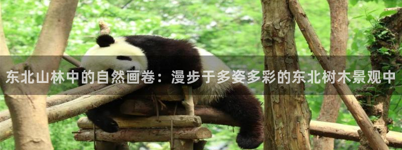 玩摩根娱乐宝亏了三千