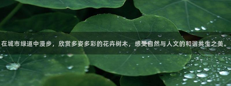 义务摩根娱乐会所电话：在城市绿道中漫步，欣赏多姿多彩的花卉树木，感受自然与人文的和谐共生之美。