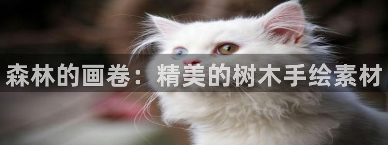 摩根娱乐宝是什么意思