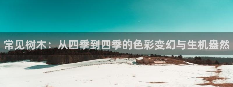 摩根娱乐包是什么：常见树木：从四季到四季的色彩变幻与生机盎然