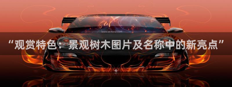 摩根娱乐平台云挂机安全吗