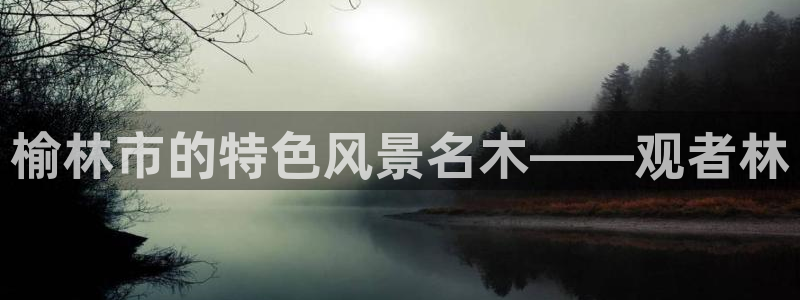 长春拉图摩根娱乐