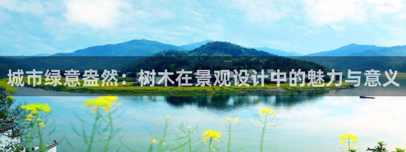 摩根室内娱乐