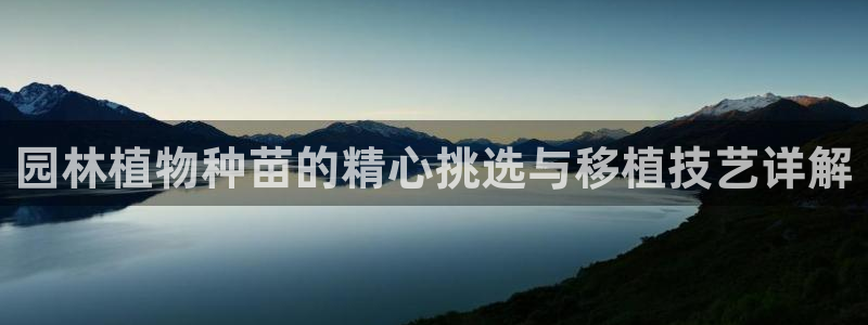 摩根士丹利娱乐银行：园林植物种苗的精心挑选与移植技艺详解