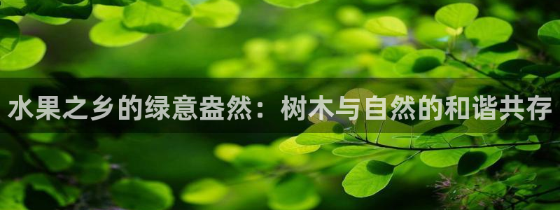 义乌摩根娱乐会所