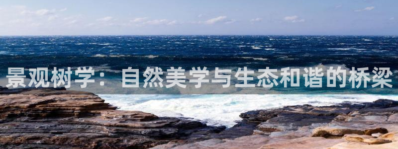 摩根娱乐宝创始人