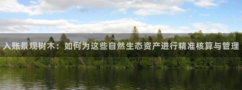 摩根娱乐宝使用操作