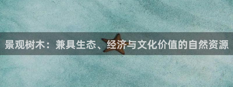 摩根娱乐是骗局吗
