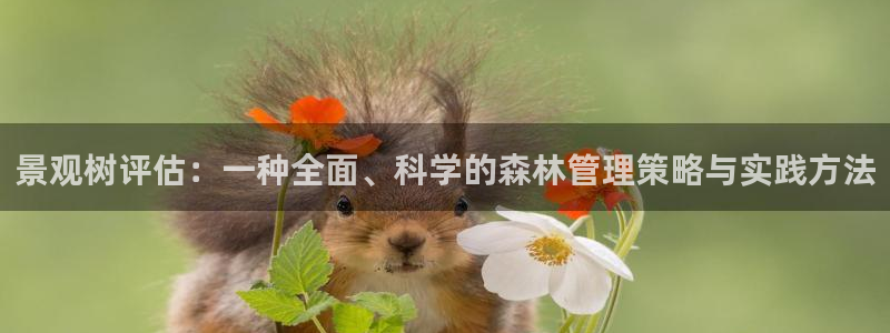 摩根娱乐包是什么意思