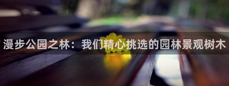 泉州摩根会娱乐邮箱：漫步公园之林：我们精心挑选的园林景观树木
