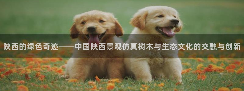 摩根娱乐宝下载