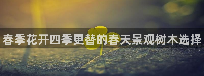 摩根娱乐宝怎么赚钱：春季花开四季更替的春天景观树木选择