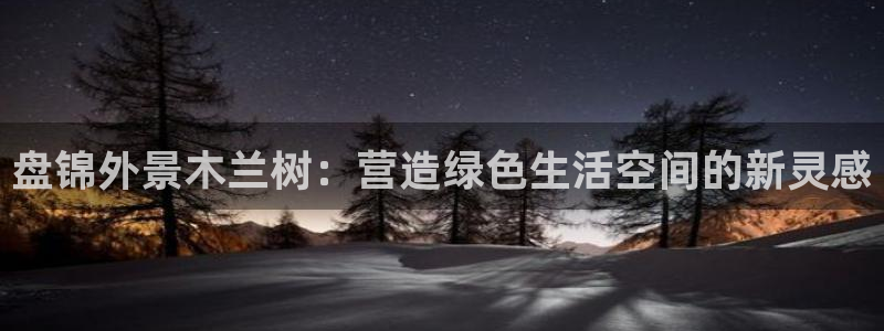 摩根娱乐50186叩杨