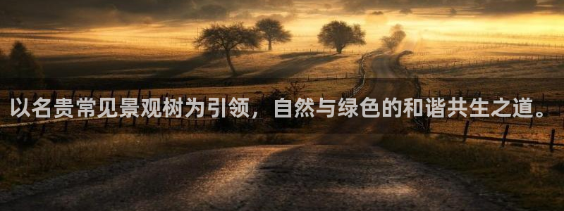 摩根娱乐公司：以名贵常见景观树为引领，自然与绿色的和谐共生之道。