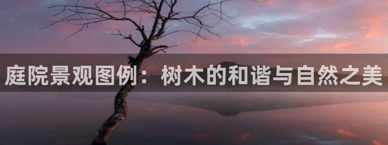 摩根娱乐宝。知道吗