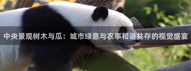 摩根娱乐宝官网百度