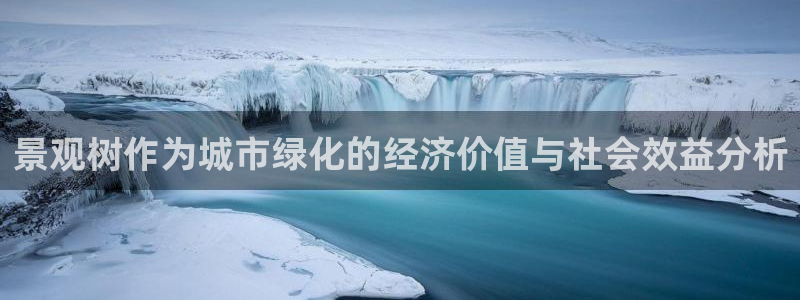 重生娱乐人生莉莉丝摩根：景观树作为城市绿化的经济价值与社会效益分析