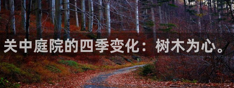 摩根娱乐二三事