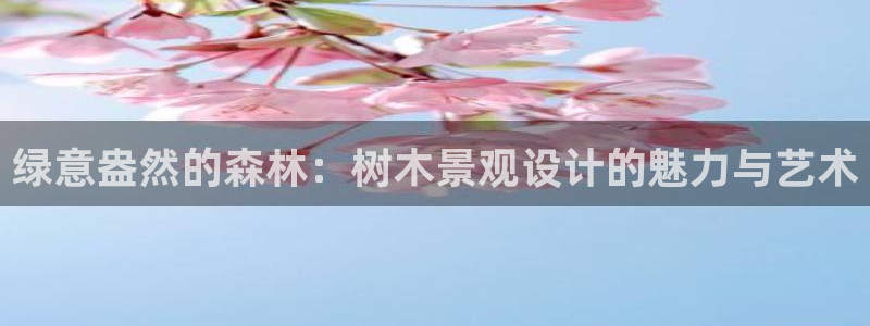 白宫摩根会娱乐有限公司