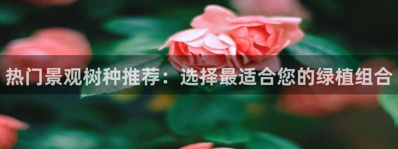 摩根娱乐宝可信吗